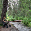 AT-Beast All-Terrain Outdoor Wheelchair