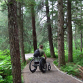 AT-Beast All-Terrain Outdoor Wheelchair
