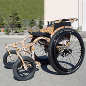AT-Beast All-Terrain Outdoor Wheelchair